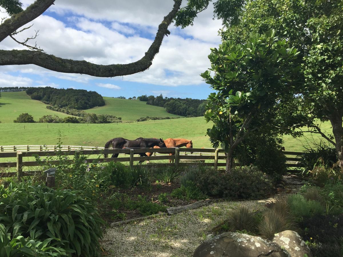 Snells Beach Quail Lodge Nz المظهر الخارجي الصورة